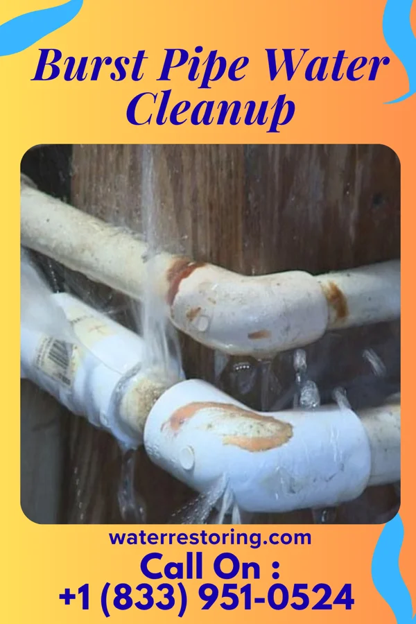 Burst Pipe Water Cleanup in Sombrillo, NM