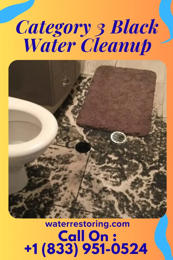 Category 3 Black Water Cleanup in Sombrillo, NM