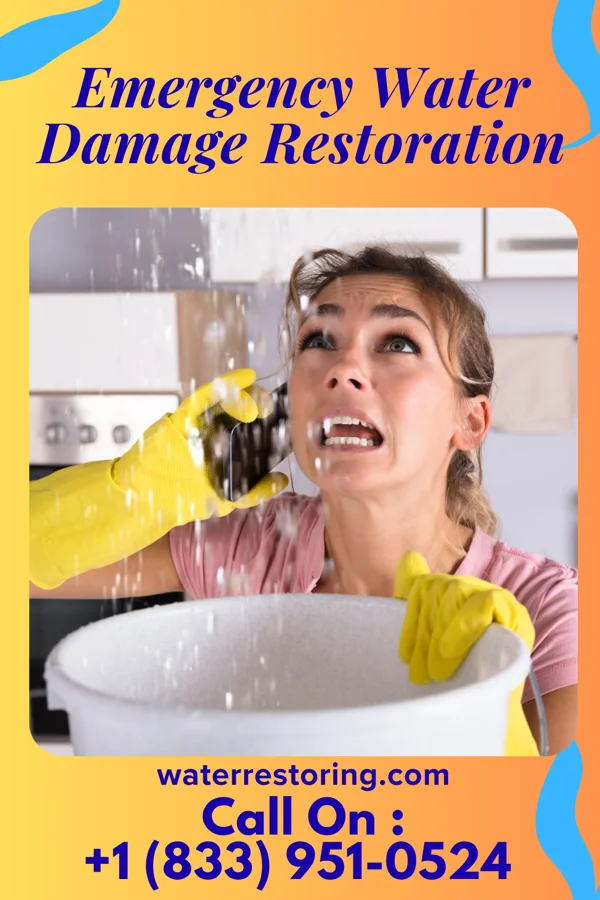 Emergency Water Damage Restoration in Sombrillo, NM